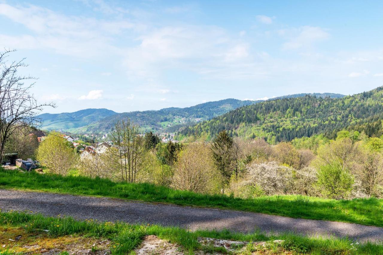 Bühlertal Ferienwohnung Fasse المظهر الخارجي الصورة