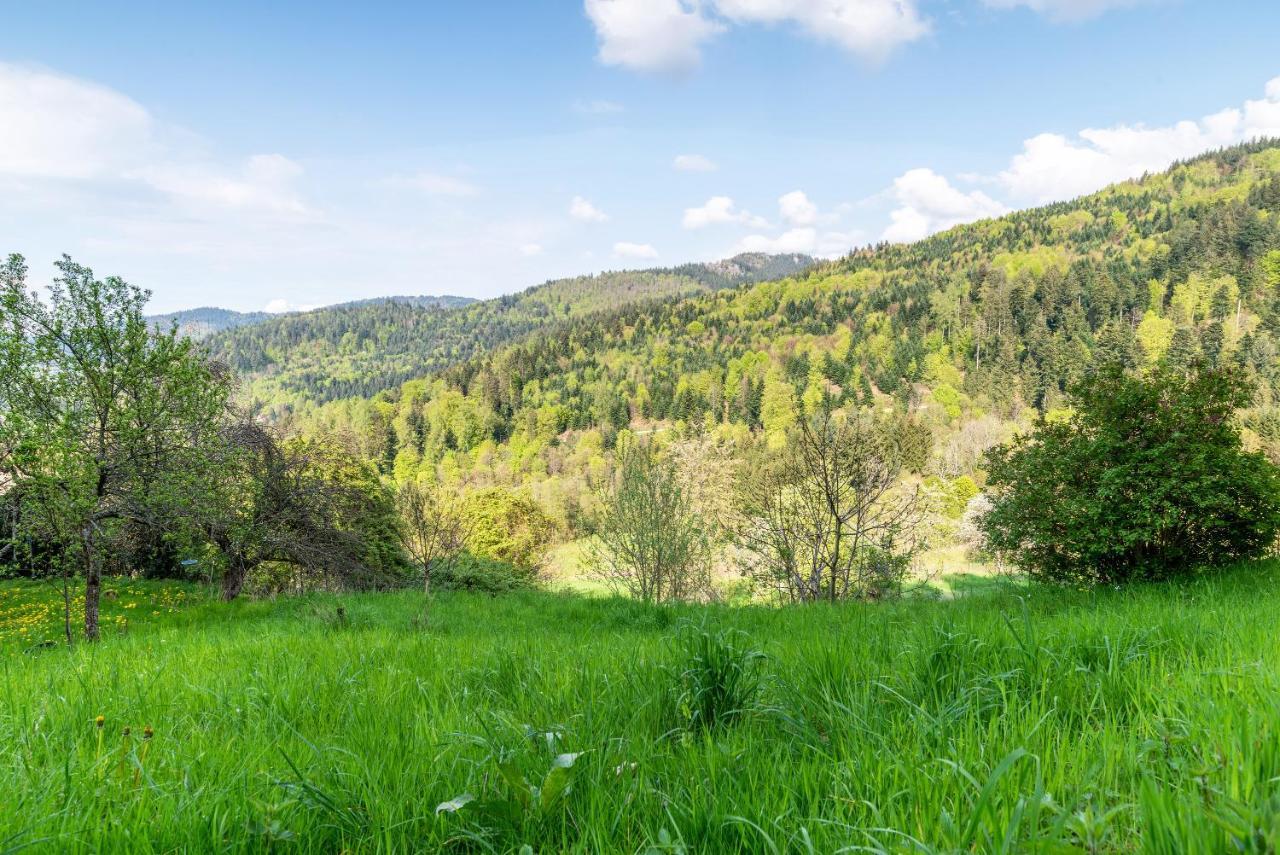 Bühlertal Ferienwohnung Fasse المظهر الخارجي الصورة